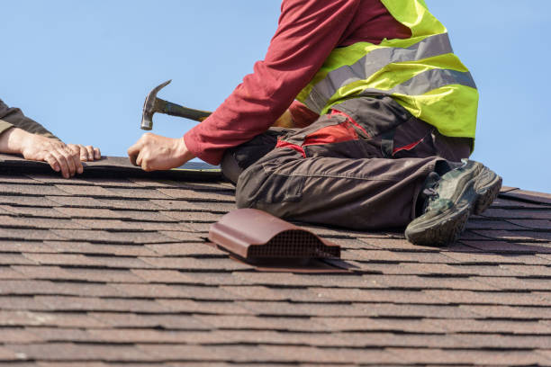 Best Flat Roof Repair Services  in Farmland, IN