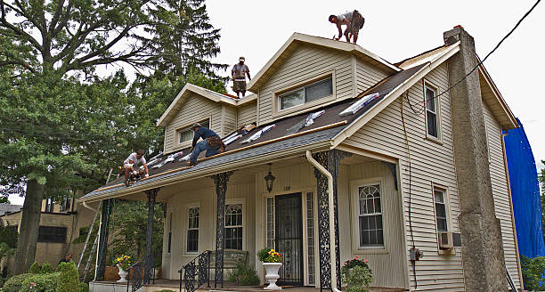 Best Roof Waterproofing Services  in Farmland, IN